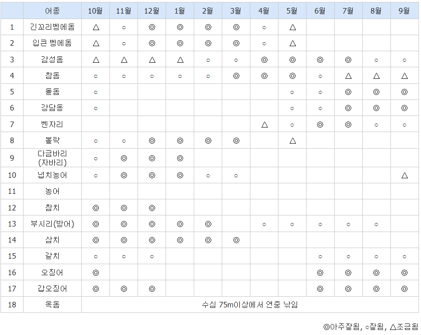 대마도 어종별 낚시 시기 정보 사진